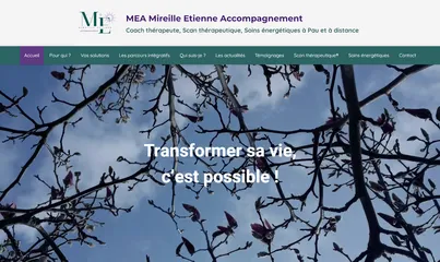 MEA Mireille Etienne Accompagnement, coaching, scan thérapeutique - Pau